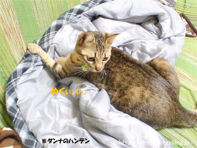 a0159490_1355747.jpg