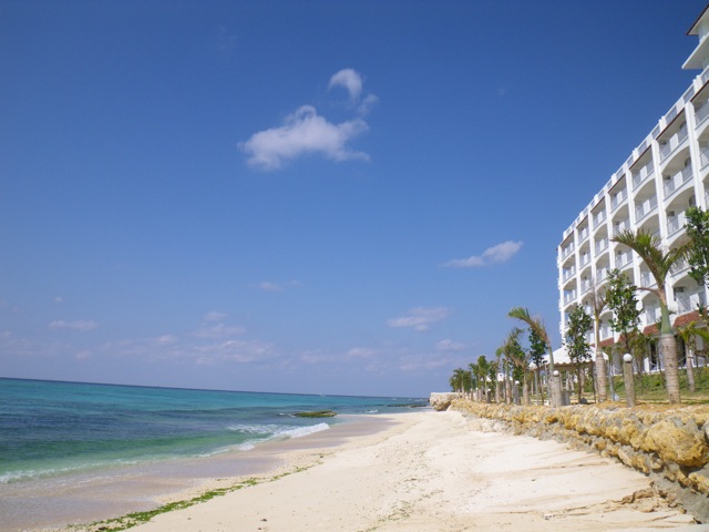 c0193396_19502980.jpg