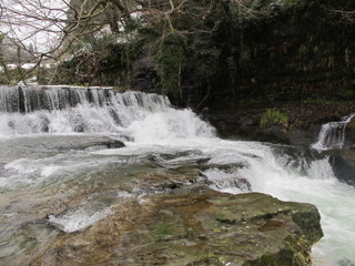a0079398_1047541.jpg