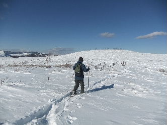 d0024504_23102085.jpg