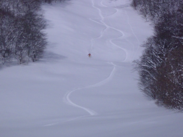 c0209409_172442.jpg