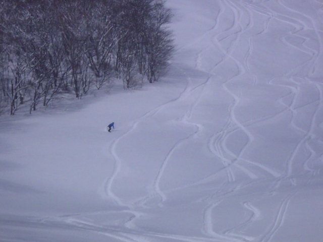 c0209409_1783642.jpg