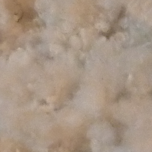 a0109914_1124052.jpg
