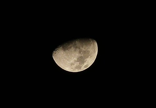 a0260019_0211344.jpg