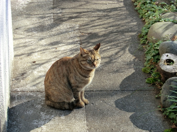 d0221319_2033244.jpg