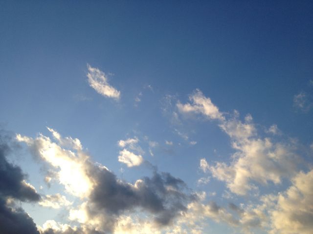 a0252323_18505445.jpg