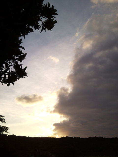 f0197325_750853.jpg