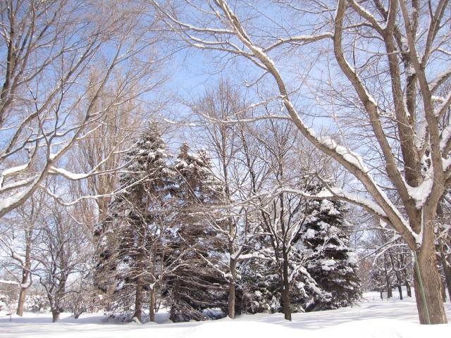 e0191826_23574116.jpg