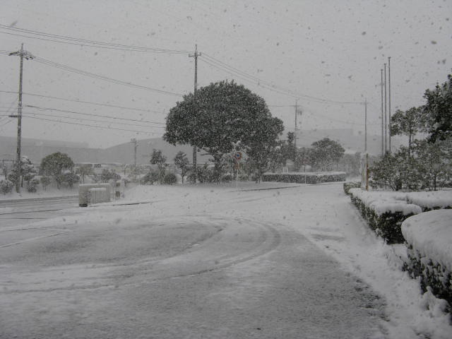 c0009528_1092054.jpg