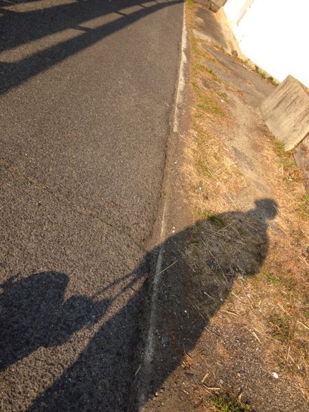 d0211131_3295637.jpg