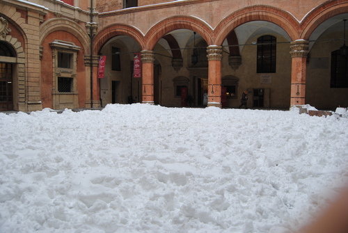 e0203331_23292572.jpg