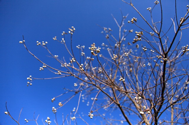 a0242438_19104431.jpg