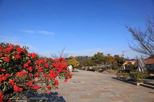 a0242438_19105035.jpg