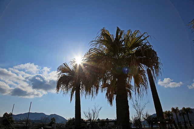 a0242438_1912574.jpg