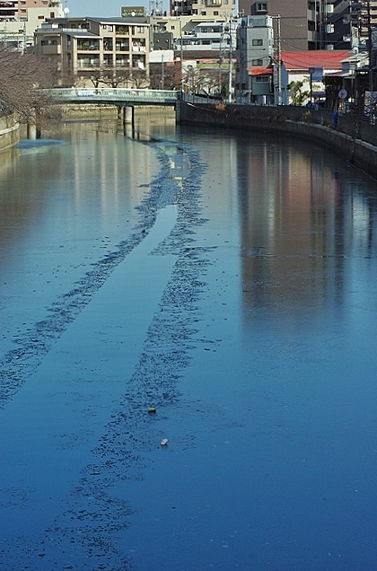 d0218238_21203015.jpg