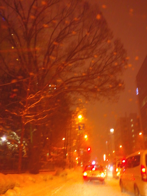 c0117239_7541631.jpg