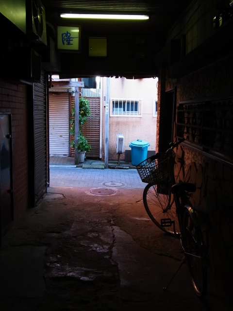 a0087341_10454676.jpg
