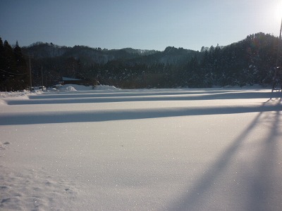 e0131541_22142367.jpg