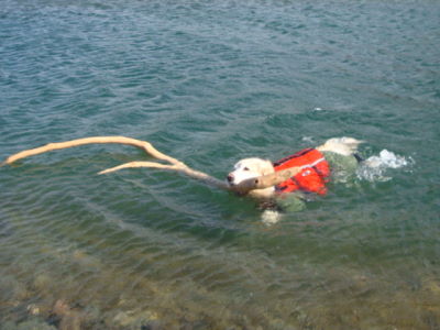 e0158841_1065641.jpg