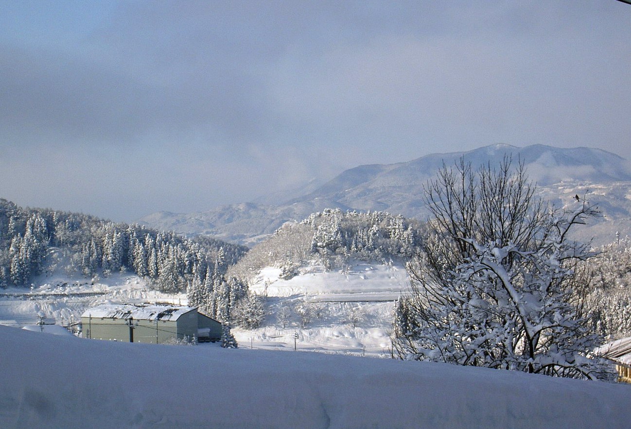 e0221442_132513.jpg