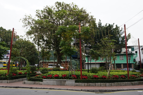 c0190847_205921.jpg