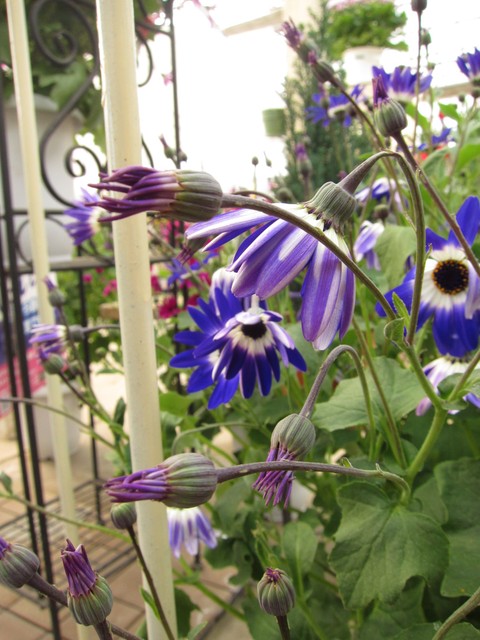 f0220152_1741096.jpg