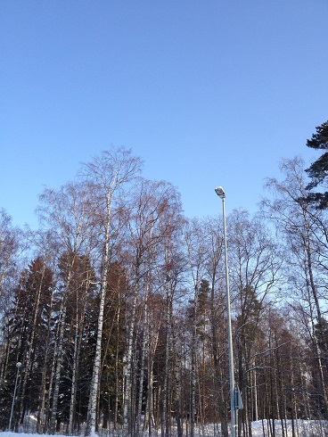 d0221360_3584980.jpg