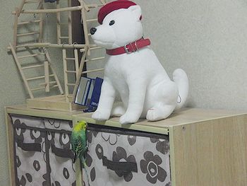 f0196665_22372891.jpg