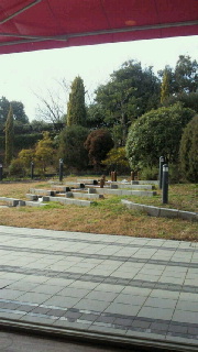 d0157070_18194626.jpg