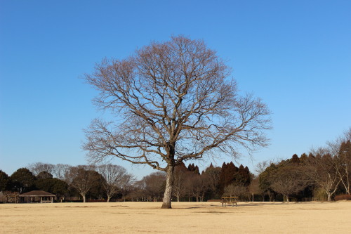 e0114977_1284499.jpg