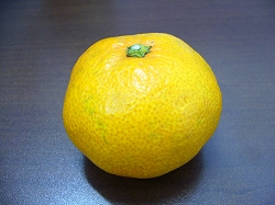 b0122182_20212217.jpg