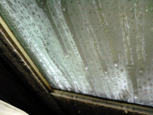 c0125283_9152766.jpg