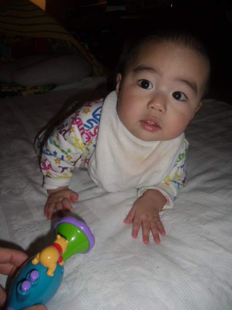 d0226187_8453516.jpg