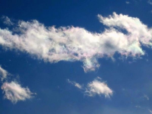 e0143690_1625643.jpg