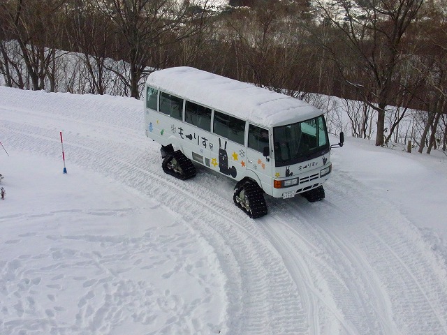 f0157901_2042307.jpg
