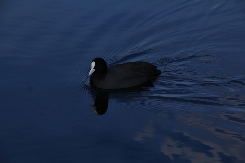 a0188405_8161888.jpg