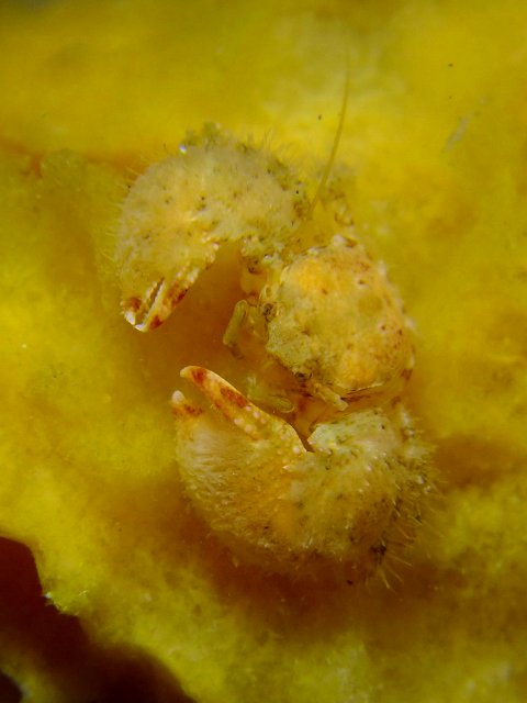 d0175710_10201213.jpg