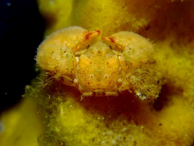 d0175710_1020169.jpg