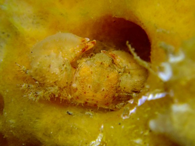 d0175710_10202490.jpg