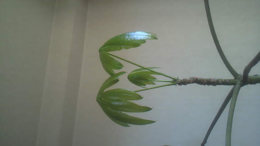 c0048121_21385394.jpg