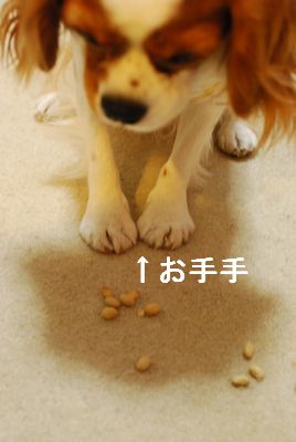 f0214121_1022672.jpg