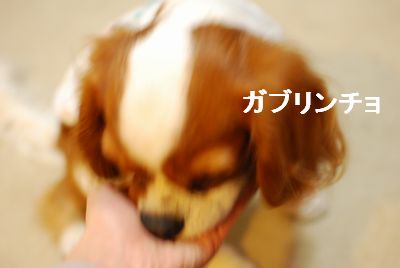 f0214121_10271134.jpg