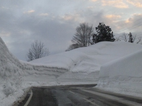 b0199924_20484877.jpg