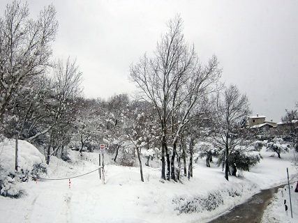 f0234936_7391155.jpg
