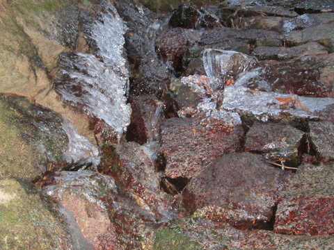b0132746_0373172.jpg