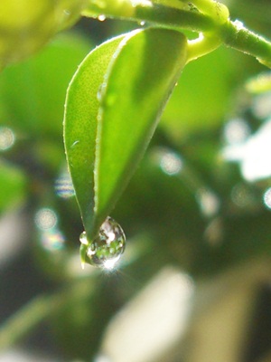 f0072846_1662777.jpg