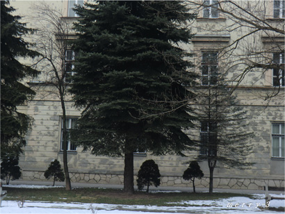 e0251956_14105159.jpg