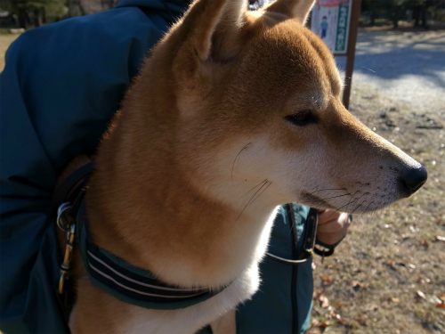 f0214771_12554639.jpg