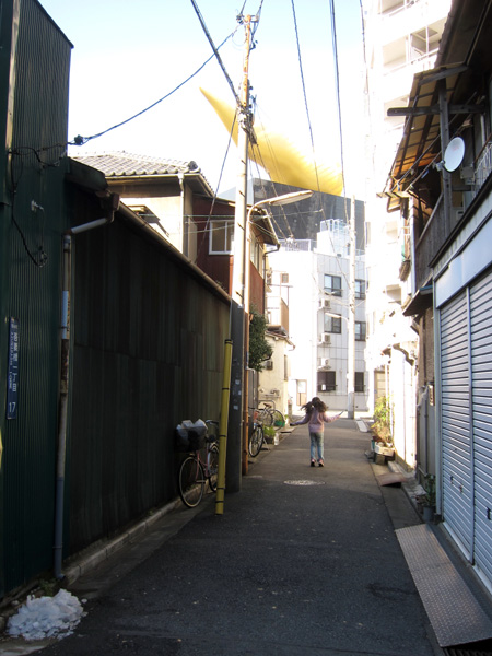 a0155278_1946426.jpg