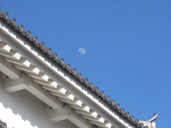 f0003283_1933534.jpg